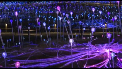 Un magico "Campo di luci" riempie il cuore di Manhattan