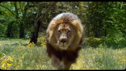 Il punto di rugiada (Trailer Ufficile HD) ⭐️⭐️