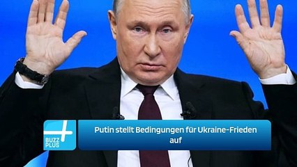 Putin stellt Bedingungen für Ukraine-Frieden auf