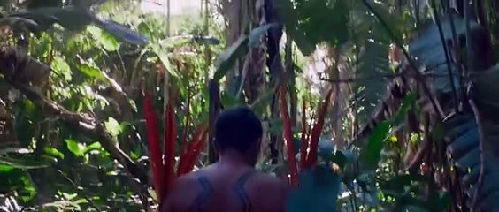 América del Sur: El Último Bosque - Un Santuario de Vida y Naturaleza