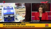 Merkez Bankası'nın rezervlerinde yeni rekor