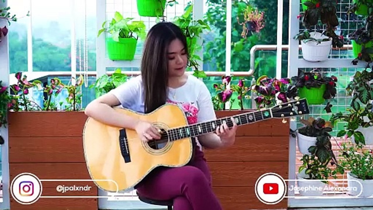 (blink-182) All The Small Things - Fingerstyle Guitar Cover _ Josephine Alexandra