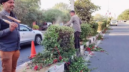 सीएम भजनलाल का अस्थायी ठिकाना बना गेस्ट हाउस, बदलने लगी सहकार मार्ग की सूरत