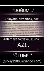 Anlayana sivrisinek saz, anlamayana davul, zurna az