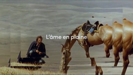 [BA] Danse avec les loups - 22/12/2023