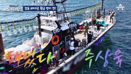 [#도시어부5] 넘을 수 없는 강철 노인의 벽... 참돔 8마리 잡아도 황금 배지 못얻는 만년 2등 불운의 아이콘 #주상욱 #이덕화