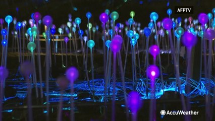 Mesmerizing art installation illuminates Manhattan