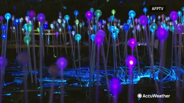 Mesmerizing art installation illuminates Manhattan