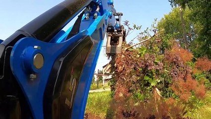 Ripping Out Bushes And Shrubs With The LS MT232