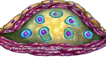 Biology Biology Biology 1