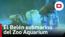El Zoo Aquarium de Madrid instala su tradicional Belén submarino en el tanque de los tiburones