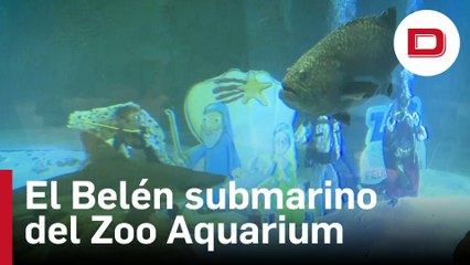 El Zoo Aquarium de Madrid instala su tradicional Belén submarino en el tanque de los tiburones