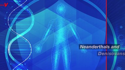 A New Study Says Early Risers May Have Neanderthal Ancestors