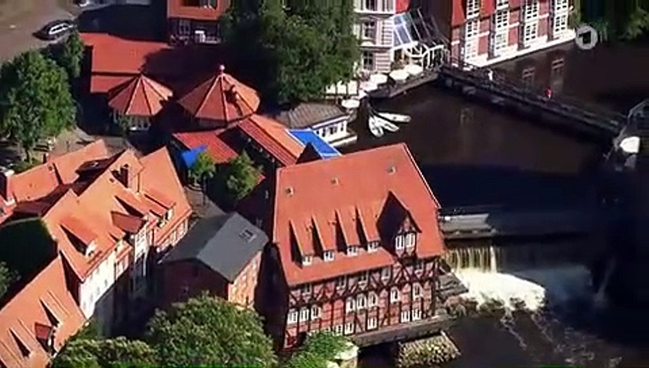 Rote Rosen 3891 Milch-Shake Lieferung