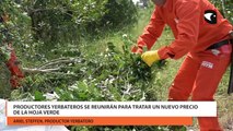 Productores Yerbateros se reunirán para tratar un nuevo precio de la Hoja Verde