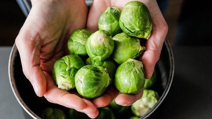 How to Plant and Grow Brussels Sprouts