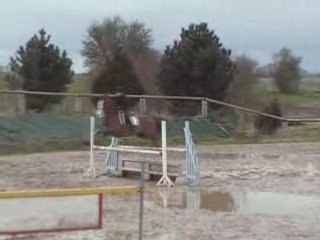 Concours Ecrainville 30 Mars 2008