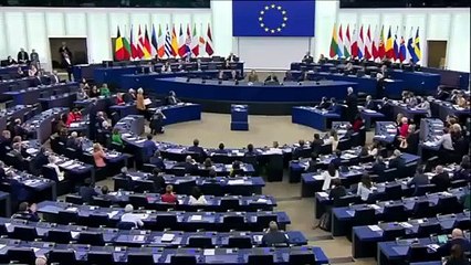 Quand un chien interrompt une réunion du parlement Européen