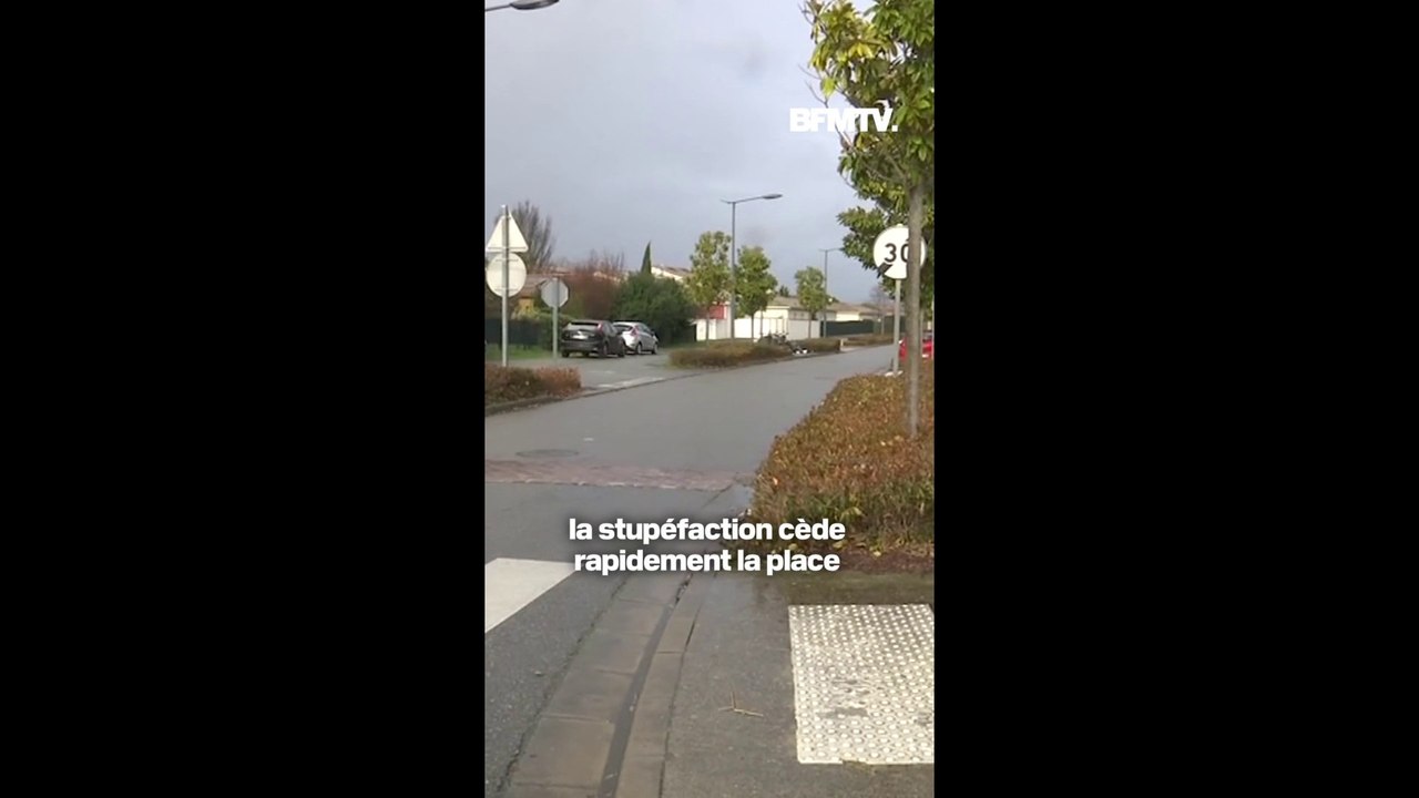 Haute-Garonne: la colère des habitants de Colomiers après que huit arbres ont été abattus en pleine nuit