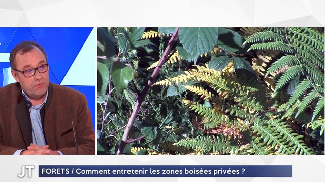 Le journal - 14/12/2023 - EMPLOI / Plan social à Jaybeam : les salariés en grève aujourd'hui