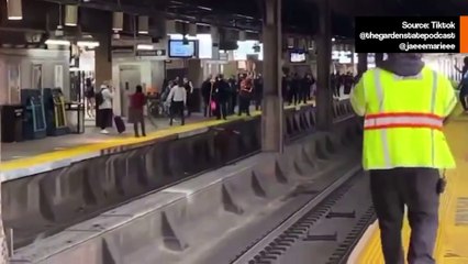 Video näyttää härän irtonaisena New Jerseyn juna-asemalla USA:ssa