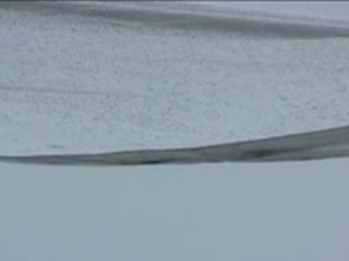 Johan Muyle - Il ne faut pas rire du bonheur