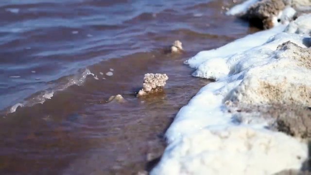 Rakesh Rajdev Unveils the Splendors of Rann of Kutch| Salt Marsh in Gujarat