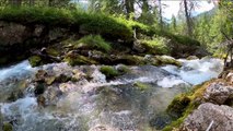 Relaxing Waterfall Nature Sounds Calming Birdsong Sound of Water Forest Relaxation