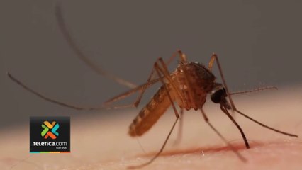 tn7-casos-de-dengue-preocupan-a-autoridades-141223