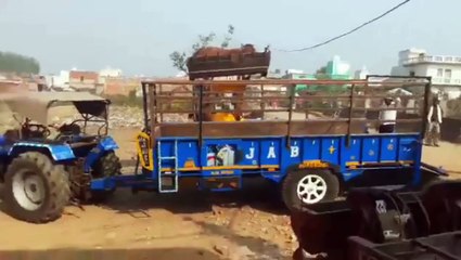 योगी सरकार की नीतियां ताक पर, गोवंश से हुई क्रूरता देख सहम जाएंगे आप