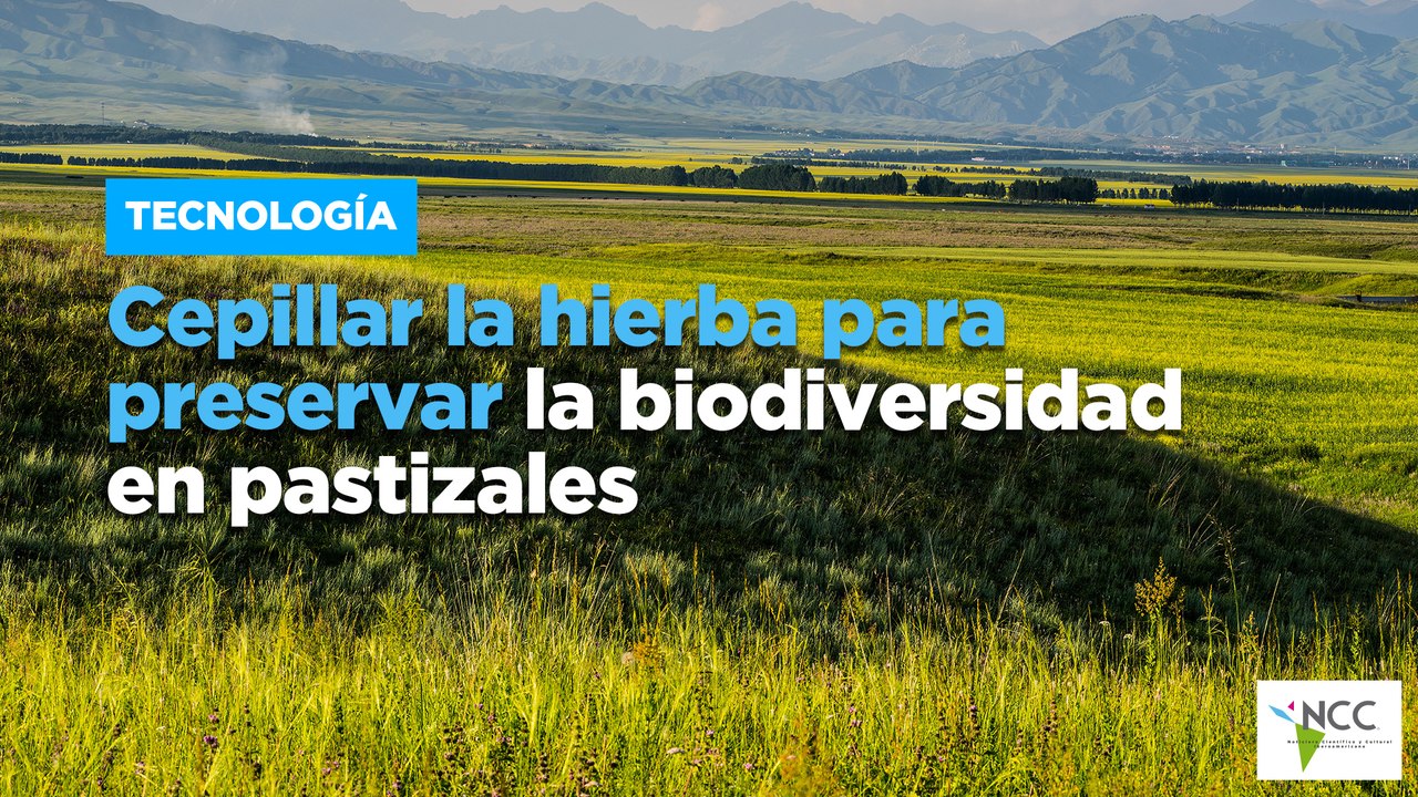 Cepillar la hierba para preservar la biodiversidad en pastizales