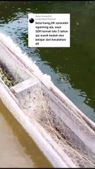 Petani yang terus belajar dari kesalahan insyaallah akan menjadi petani sukses