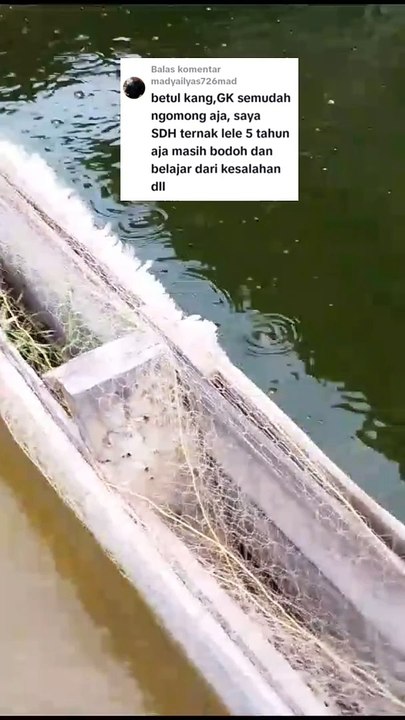 Petani yang terus belajar dari kesalahan insyaallah akan menjadi petani sukses