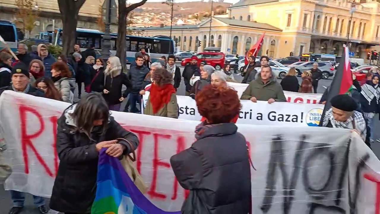 VID20231209154633