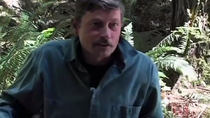 Hidden Giants: Unveiling the Giantopatic Enigma - Is Bigfoot's Ancient Cousin Still Among Us?