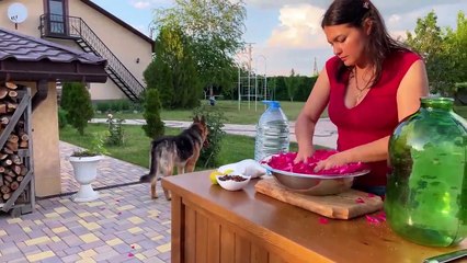 Three Variants of Tempting Dishes with Carp! From Royal Cooking