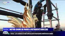 Restauration de Notre-Dame: le coq de la flèche veille de nouveau sur le ciel de Paris