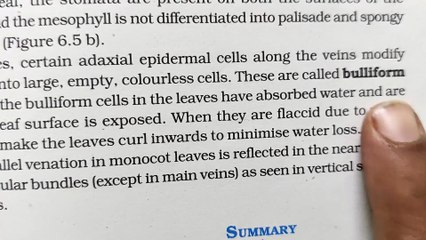 NEET PYQ of anatomy of flowering plants