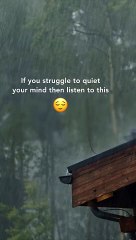 Soothing Symphony: Captivating Rain Sounds for Relaxation and Sleep