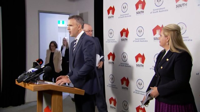 SA greyhound industry given two years to improve practices following inquiry recommendations