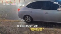 [HOT] 20℃ video in December?!,생방송 오늘 아침 231215