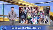 Chiayi Temple Lights Lucky Lanterns for Pets