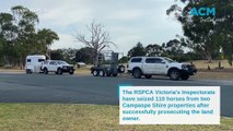 RSPCA seizes more than 100 horses in Campaspe region due to mistreatment