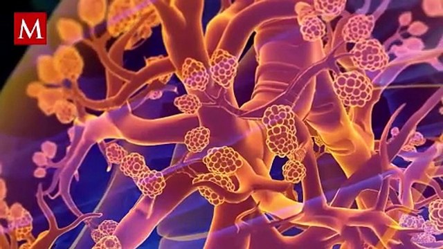 ¡Innovación contra el COVID-19! Descubre la vacuna inhalable que llega directo a los pulmones