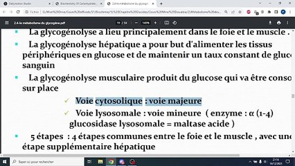Glycogen Degradation et Synthèse : Comprendre le Métabolisme du Glucose 🧬