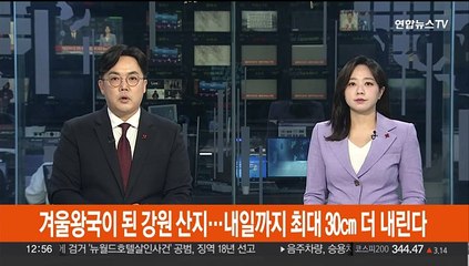 겨울왕국이 된 강원 산지…내일까지 최대 30cm 더 내린다