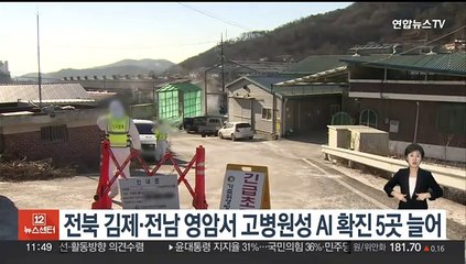 전북 김제·전남 영암서 고병원성 AI 확진 5곳 늘어