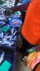 A phenomenon that continues with time.the situation will make you happy when you sad  animal video