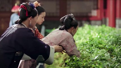 Tập 4 - Diên Hy Công Lược | Ngô Cẩn Ngôn; Nhiếp Viễn; Tần Lam; Xa Thi Mạn; Hứa Khải; Đàm Trác,...