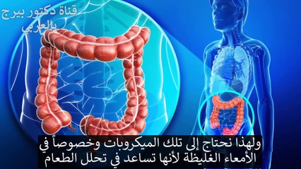 هل لدينا حقًا ما يعادل 10 كيلوجرام من الفضلات السامة في القولون؟  تنظيف وتطهير القولون
